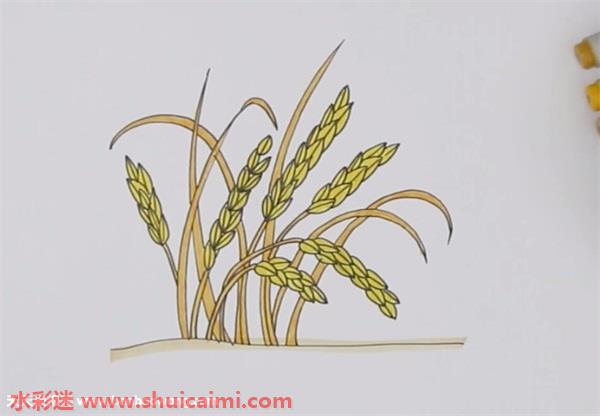 春天的稻子简笔画图片