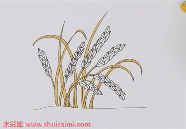稻子画法图片