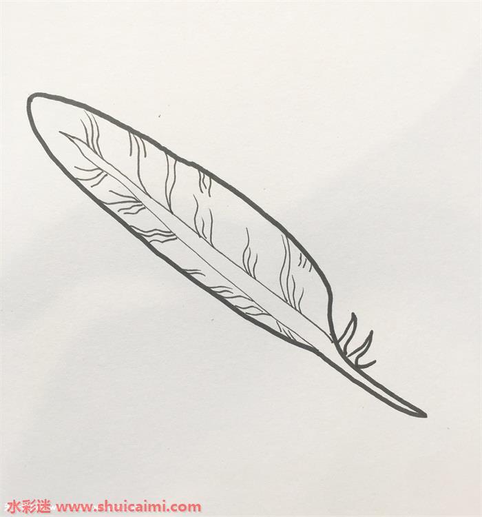 羽毛的画法简单图片