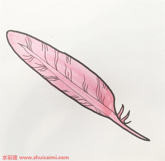 一根羽毛的画法图片