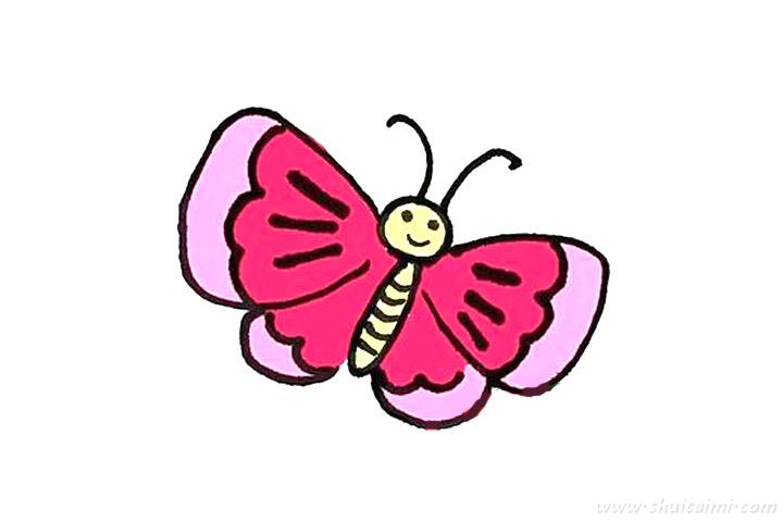蝴蝶图片卡通画法图片