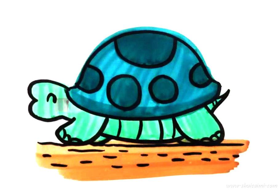鱼缸里的乌龟简笔画图片