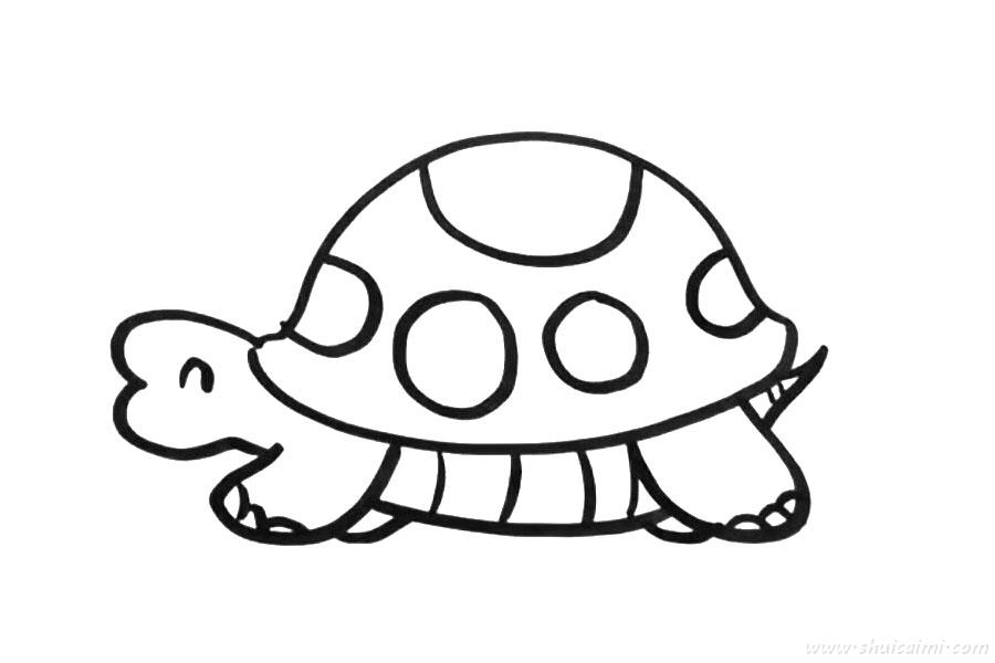 小乌龟怎么画小乌龟简笔画步骤