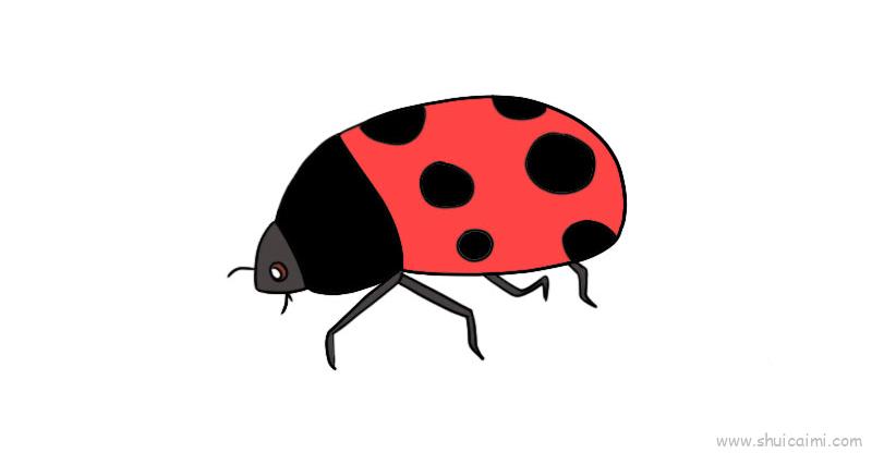 甲虫儿童画怎么画甲虫简笔画图片大全