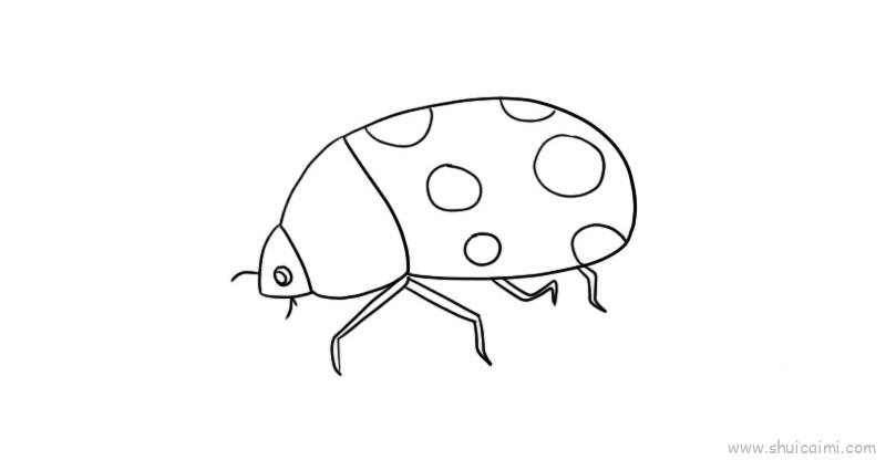 甲虫儿童画怎么画甲虫简笔画图片大全