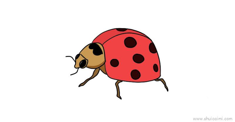 甲虫儿童画怎么画甲虫简笔画简单