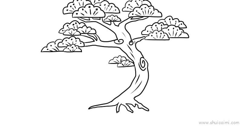 松树简笔画法图片