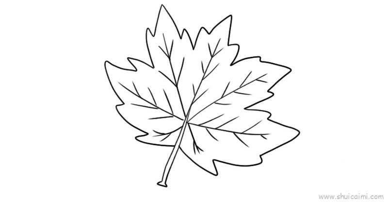 怎样画树叶简单画法图片