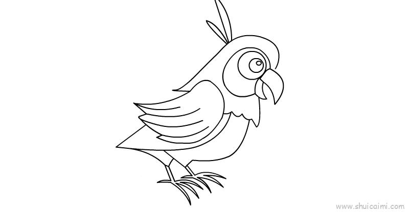 鹦鹉儿童画怎么画 鹦鹉简笔画简单又好看