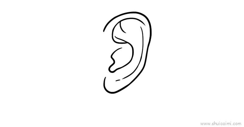 耳朵儿童画怎么画 耳朵简笔画图片