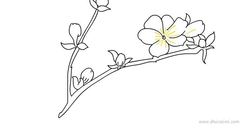 玉兰花的花苞怎么画图片