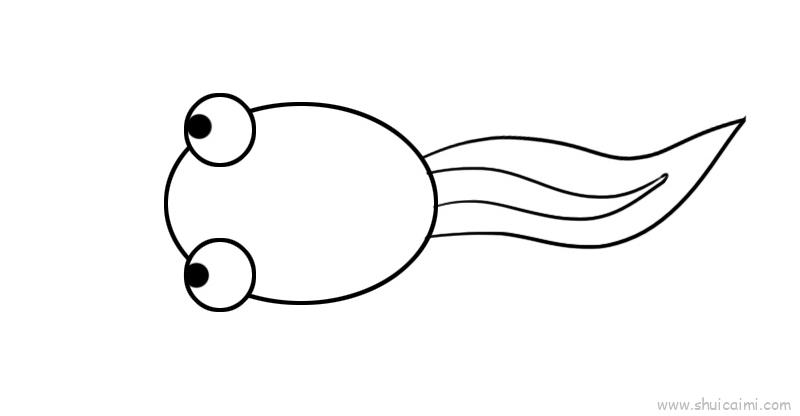 画小蝌蚪最简单的画法图片