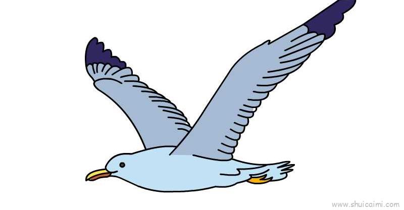 海鸥简笔画带颜色图片