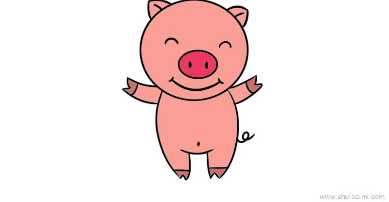 猪肚子简笔画图片