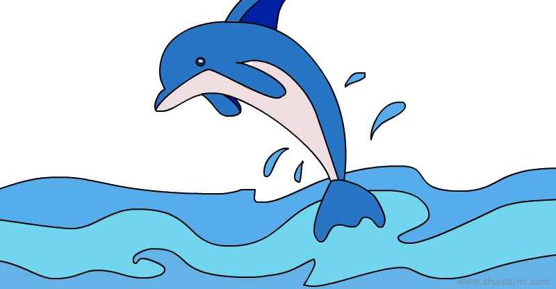 鲸鱼简笔画可爱彩色图片