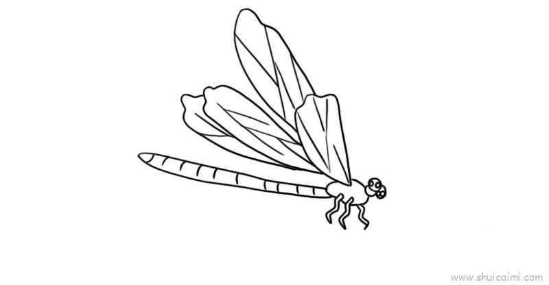 三年级蜻蜓怎么画图片