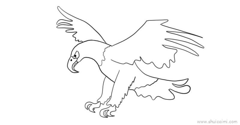 鹰儿童画怎么画 鹰简笔画简单