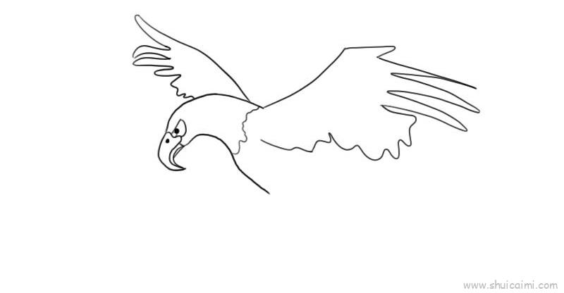 鹰儿童画怎么画 鹰简笔画简单