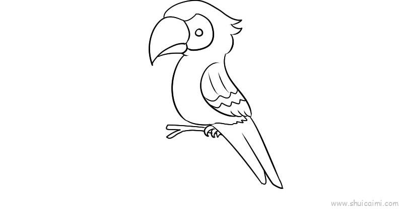 巨嘴鸟简笔画可爱图片图片