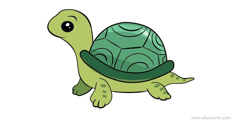 乌龟儿童画怎么画 乌龟简笔画画法