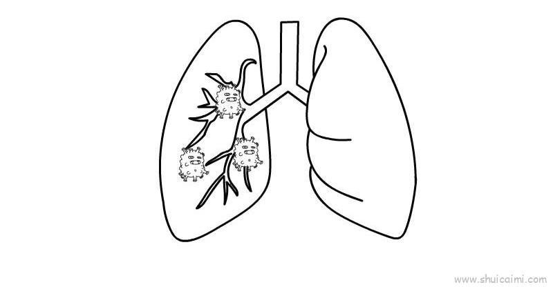 人体肺部简笔画图片