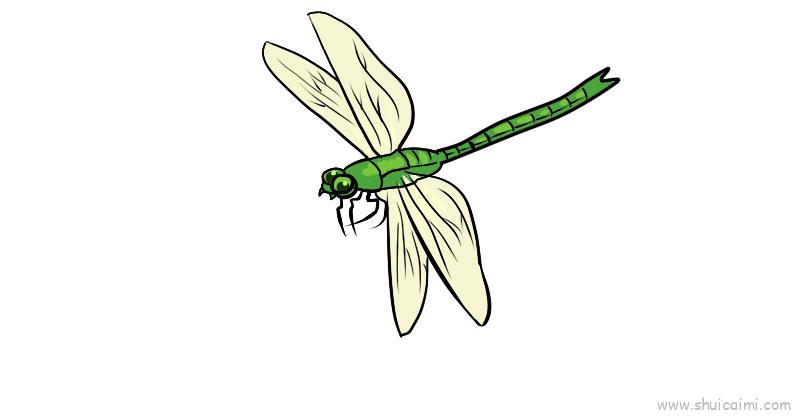 蜻蜓翅膀绘画图片