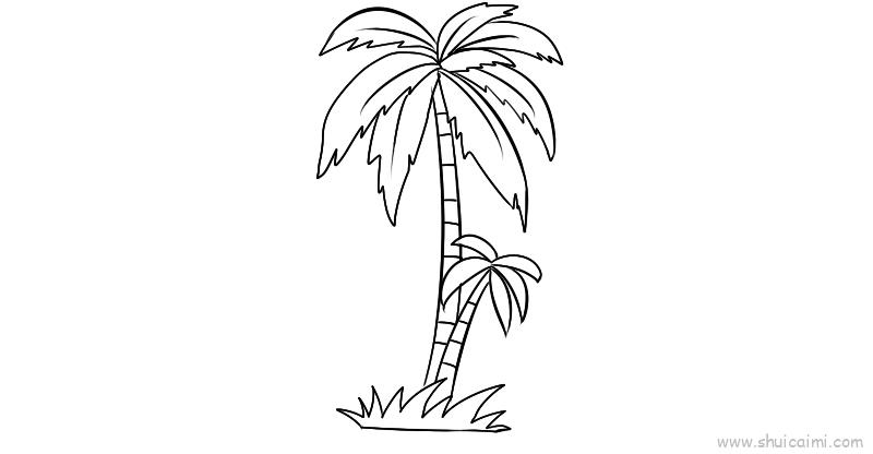 大王椰树简笔画图片
