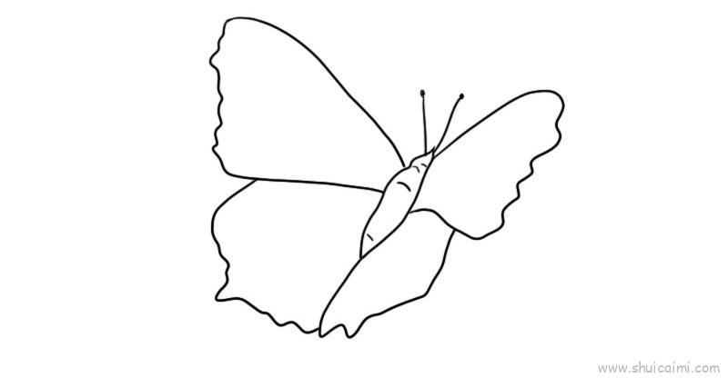 怎么画蝴蝶的一半图片