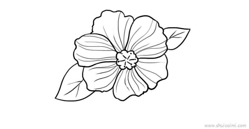 掉落的花瓣怎么画简单图片