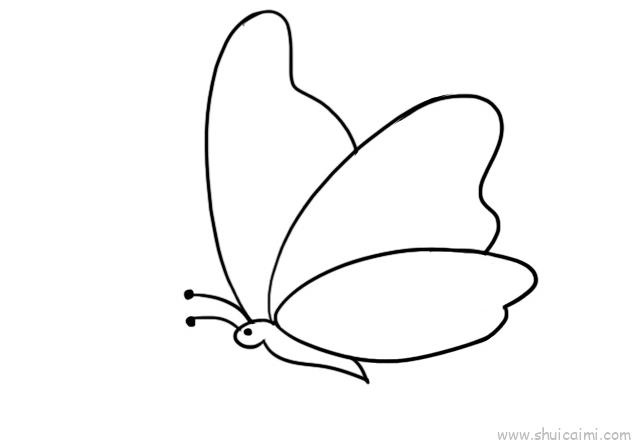 蝴蝶的简单画法儿童图片