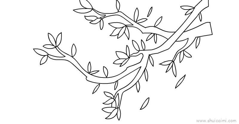 树枝怎么画简笔画一根图片