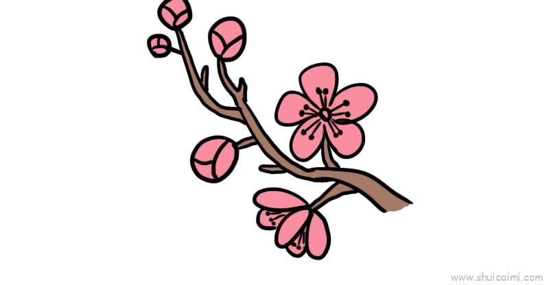 樱花的画法花瓣图片