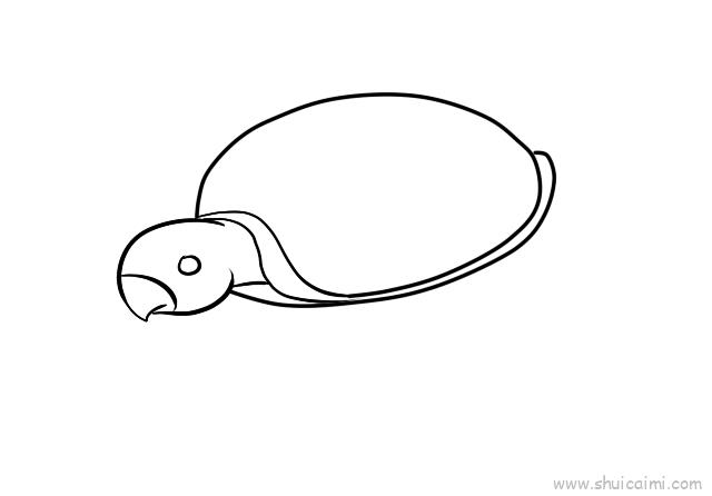 海龟儿童画怎么画 海龟简笔画图片大全