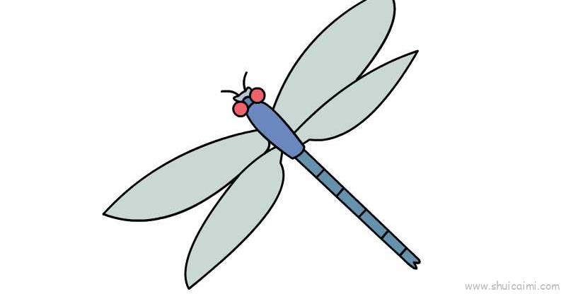 蜻蜓翅膀绘画图片