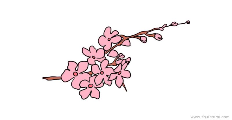樱花盛景简笔画图片