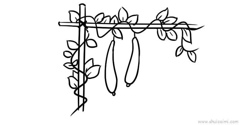 瓜藤攀架绘画简单图片
