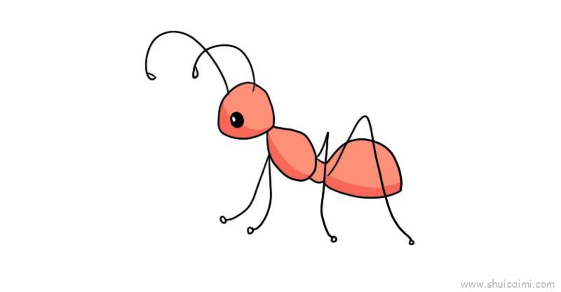 蚂蚁的触角 简笔画图片