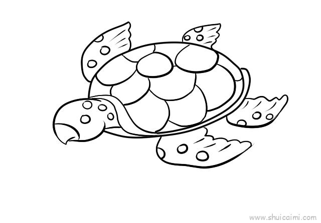 海龟儿童画怎么画 海龟简笔画图片大全