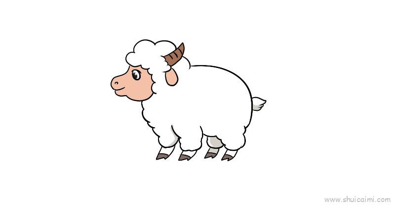 一只羊的画法图片