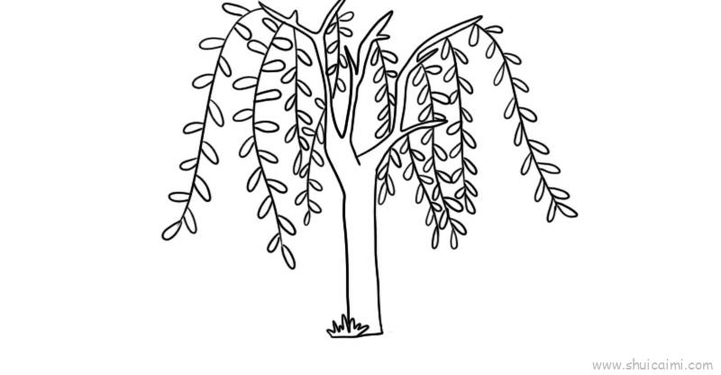 柳树儿童画怎么画 柳树简笔画顺序
