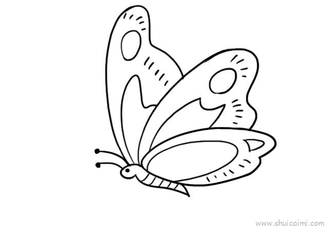 蝴蝶怎样画漂亮图片