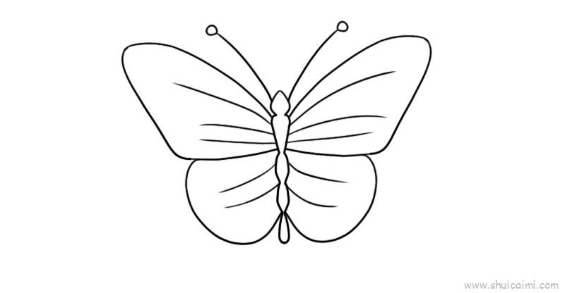 对称轴蝴蝶简笔画图片