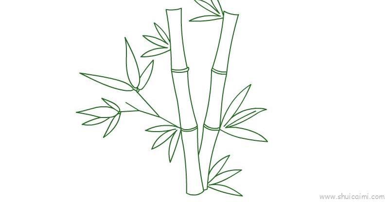 怎样画竹子铅笔画图片