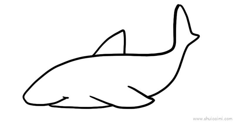 鲨鱼喷水图片简笔画图片