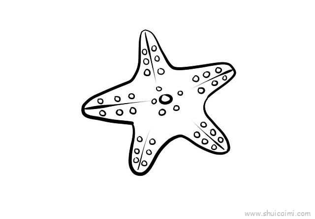 简笔画海星的简单画法图片