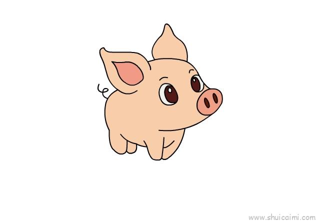 1,先画出小猪的头和五官,2,再画出小猪的身子和尾巴,3,给小猪的鼻子和