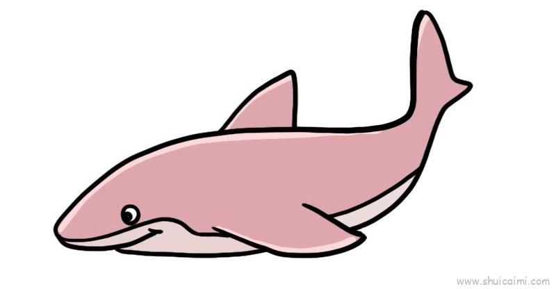 鲨鱼的鱼鳍简笔画图片