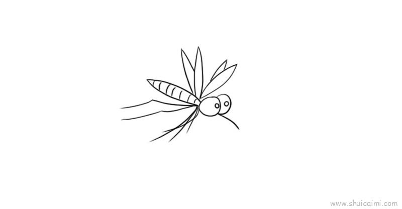 蚊子的简笔画吸血图片
