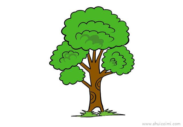 树的简笔画法卡通图片