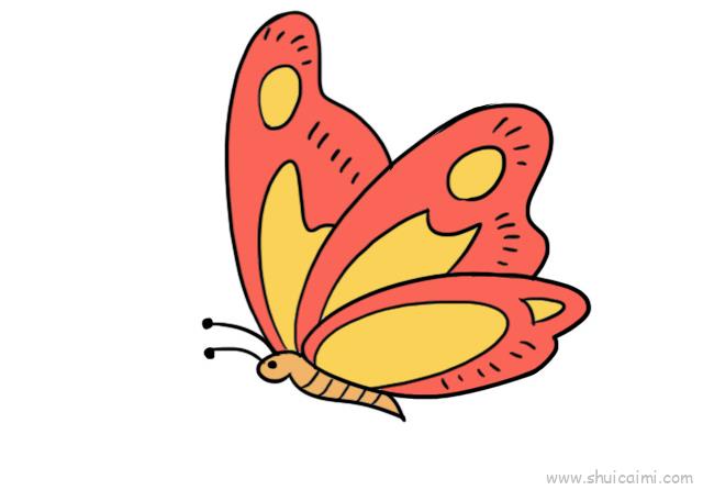 怎样画蝴蝶简单漂亮图片